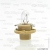 Narva Glow 12V - 17048 - BAX 12V-1,5W (BX8,4d) beige - NARVA -   